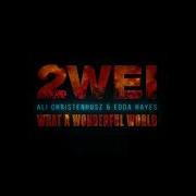 2Wei Ali Christenhusz Edda Hayes What A Wonderful World Official Epic Cover