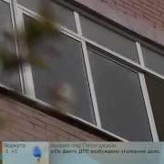 Рассказ Зоофилки Собакой