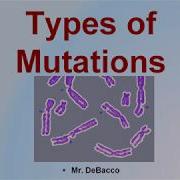 Types Of Mutations Debacco University