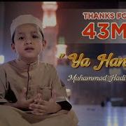 Muhammad Hadi