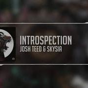 Skysia Introspection