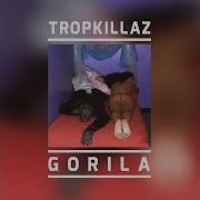 Gorila Tropkillaz