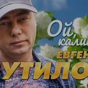 Евгений Путилов Под Окном Калина Расцвела