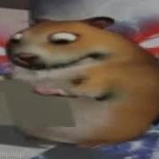 Хомячок Флексит Под Пхонк