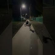 Встречаем Папу С Работы