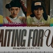 Stray Kids Vocal Line Waiting For Us 피어난다 Lyrics Color Coded Han Rom Eng Zaty Farhani