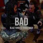 Bad Blaiz Fayah Tribal Kush