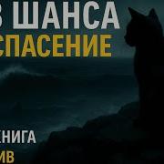 Аудиокниги 2023 Года