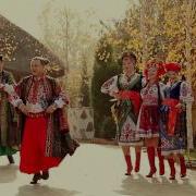 Ой Чёрная Ты Чёрна