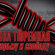 Блатные Песни На Тюрьме