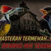 Masteran Mewah Tembakan Platuk Bawang Mix Tengkek Buto Mr Cendet