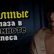 Желтые Глаза В Темном Лесу 12