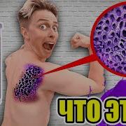 Скуби Ду 1 Сезон 1 Серия Все Прячьтесь