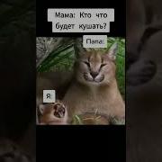 Слово Пельмени Мем