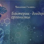 Бактерии Доядерные Организмы 7 Класс Учебник Биологии 3 Порагроф