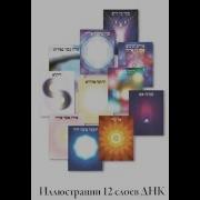 Медитации Послания От Источника Днк