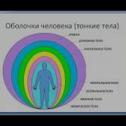 Тонкие Тела Человека Оболочки Их Строение И Функции