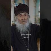 Либо Война Либо Мир Прикол
