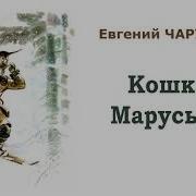 Кошка Маруська