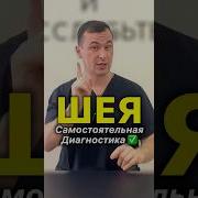 Сигнальный Звонок