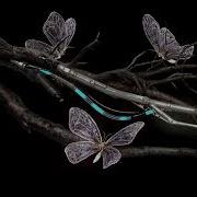 Time S A Fantasy Anyma Extended Remix Portugal The Ma