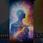 Медитация Балансировка Чакр