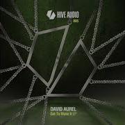 David Aurel Flying With The Wind