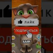 Не Когда Не Давай Арбуз Тому