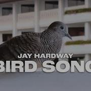 Jay Hardway Bird Song