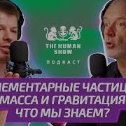 Семихатов Элементарные Частицы