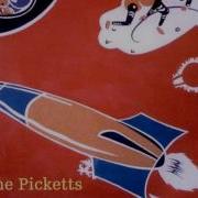 Action Speaks Louder Than Words The Picketts