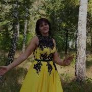 Утром Весна За Окном Яблоня