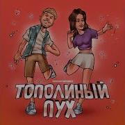 Тестостерович Тополиный Пух