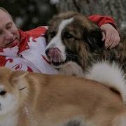 Так Скучала Я Любимая Песня Путина
