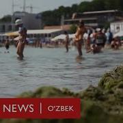 Макора Инсон Топилади