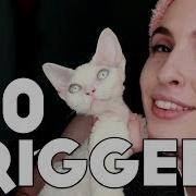 Asmr 100 Triggers Tangerine