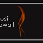 Goosi Firewall