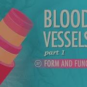 Vessels The Function