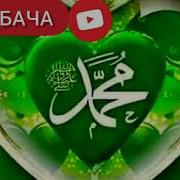 Як Шабе Маҷнун Намозашро Шикаст