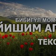 Апам Сени Ушул Куну Торогон
