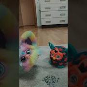 Это Не Простая Комната Здесь Живёт Трики