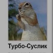 Турбо Суслик Аудиокнига Слушать Онлайн