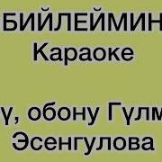 Билеймин Балдар Ыры