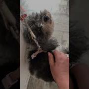 Праздник Для Души