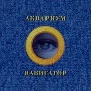 Удивительный Мастер Лукьянов Аквариум