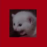 Where S Your Head At Sped Up