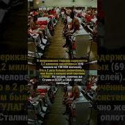 Рассказы Про Гулаг