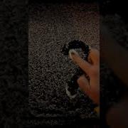 Подумал О Тебе И Пошел Снег