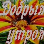 Доброе Утро Любимой На Расстоянии Видео Открытка Пожелание Доброго Утра На Расстоянии
