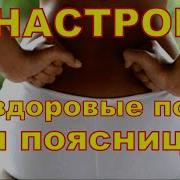 Божественное Исцеление Позвоночника Матрица Гаряева И Настрой Сытина
